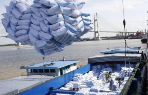 Giữ thương hiệu gạo Việt giữa biến động lương thực to&agrave;n cầu