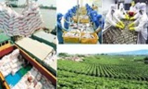 Những kết quả t&iacute;ch cực của ng&agrave;nh n&ocirc;ng nghiệp trong những th&aacute;ng đầu năm