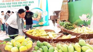 T&iacute;n hiệu vui cho địa phương thế mạnh về xo&agrave;i