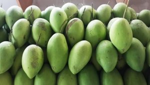 Kim ngạch xuất khẩu n&ocirc;ng, l&acirc;m, thủy sản tăng mạnh