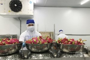 Tăng tỉ lệ chế biến v&agrave; đa dạng thị trường xuất khẩu rau quả