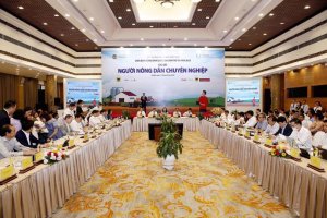 N&ocirc;ng d&acirc;n chuy&ecirc;n nghiệp phải l&agrave; người c&oacute; tri thức, kỹ năng nghề nghiệp
