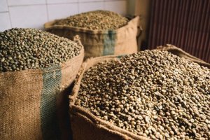 Gi&aacute; c&agrave; ph&ecirc; h&ocirc;m nay, 17/3: Gi&aacute; c&agrave; ph&ecirc; trong nước giảm 200 đồng/kg