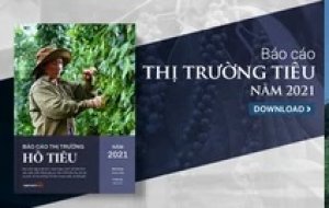 Thị trường hồ ti&ecirc;u th&aacute;ng 1/2022: Thị trường khởi sắc, hứa hẹn một vụ m&ugrave;a được gi&aacute;