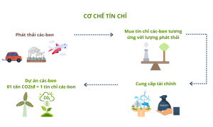 Tín chỉ carbon: Điều kiện ngặt nghèo nhưng liệu có hiệu quả?