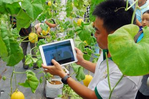 N&ocirc;ng nghiệp Việt: Sẵn s&agrave;ng đ&oacute;n vận hội mới từ c&ocirc;ng nghệ số