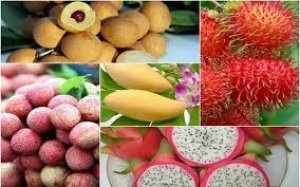 Bản tin thị trường c&ocirc;ng nghiệp nhẹ ng&agrave;y 06/11 /2019