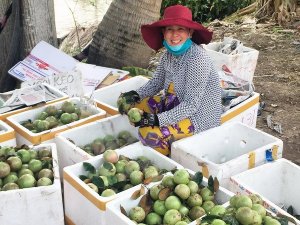 Thị trường rau củ, tr&aacute;i c&acirc;y c&oacute; nhiều biến động do ảnh hưởng kh&iacute; hậu