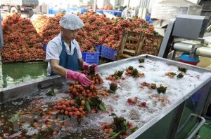 Nỗ lực bảo đảm vấn đề vệ sinh an to&agrave;n thực phẩm từ gốc
