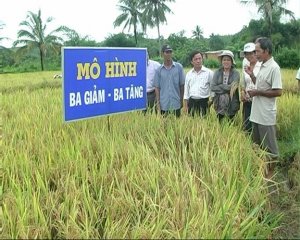 Đ&aacute;nh gi&aacute; hiệu quả giảm ph&aacute;t thải kh&iacute; nh&agrave; k&iacute;nh khi &aacute;p dụng kỹ thuật 1P5G v&agrave; 3G3T tr&ecirc;n ruộng l&uacute;a 3 vụ ở một số tỉnh v&ugrave;ng đồng bằng s&ocirc;ng Cửu Long