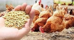 Xu hướng biến động thị trường xuất nhập khẩu thức ăn gia s&uacute;c v&agrave; nguy&ecirc;n liệu