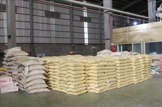 Xuất khẩu gạo đạt trên 3,1 tỷ USD, thị trường phân hóa