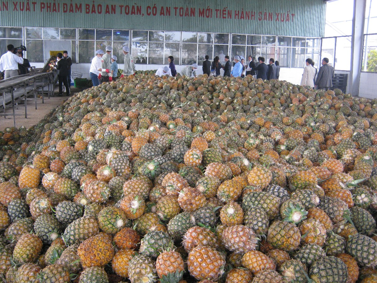 Xuất khẩu n&ocirc;ng l&acirc;m thủy sản đạt gần 43 tỷ USD, điểm s&aacute;ng từ rau quả v&agrave; thủy sản