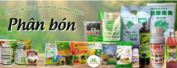 Xuất khẩu ph&acirc;n b&oacute;n 3 th&aacute;ng đầu năm 2026 tăng trưởng tốt