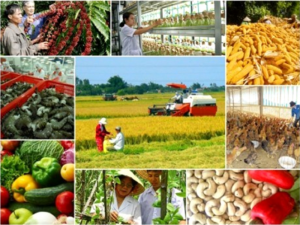 Năm 2022: Tổng gi&aacute; trị sản xuất n&ocirc;ng l&acirc;m ngư nghiệp tăng 3,36%