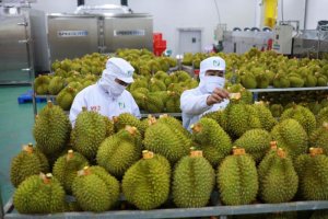 Ng&agrave;nh N&ocirc;ng nghiệp vượt &ldquo;b&atilde;o lạm ph&aacute;t&rdquo; thu về hơn 20 tỷ USD