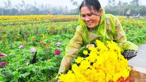 Chuyển từ sản xuất n&ocirc;ng nghiệp sang kinh tế n&ocirc;ng nghiệp