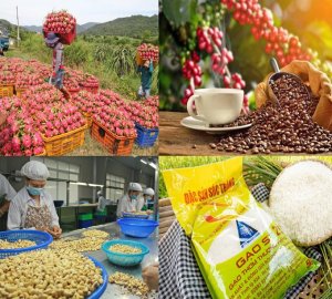 Xuất khẩu n&ocirc;ng sản: Để c&aacute;c b&ecirc;n c&ugrave;ng thắng